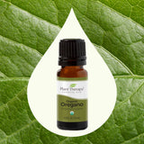 Organic Oregano Essential Oil from Plant Therapy