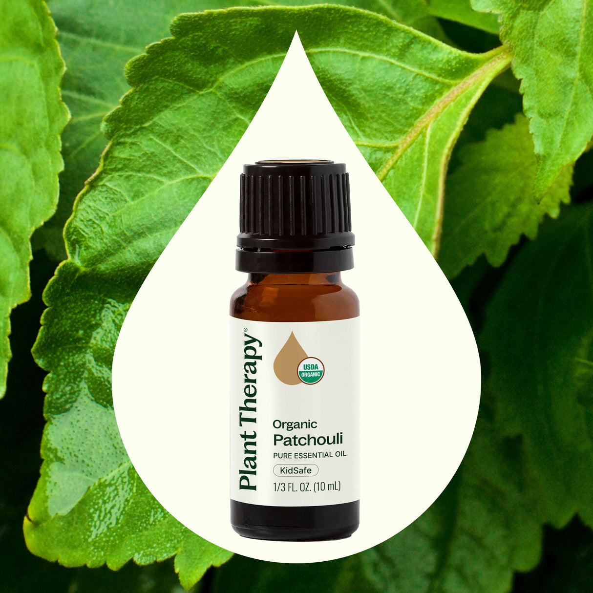 Organic Patchouli Essential Oil from Plant Therapy