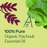 Organic Patchouli Essential Oil from Plant Therapy