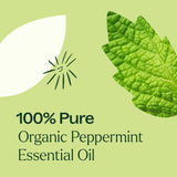 Organic Peppermint Essential Oil from Plant Therapy