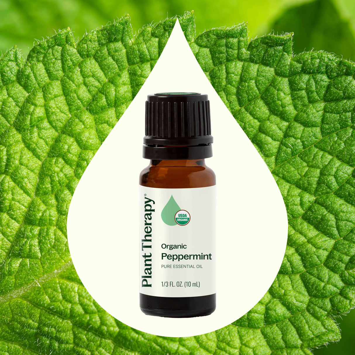 Organic Peppermint Essential Oil from Plant Therapy