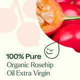Organic Rosehip Carrier Oil Extra Virgin from Plant Therapy