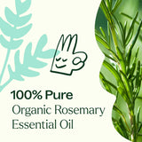 Organic Rosemary 1,8-Cineole Essential Oil from Plant Therapy