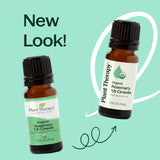 Organic Rosemary 1,8-Cineole Essential Oil from Plant Therapy