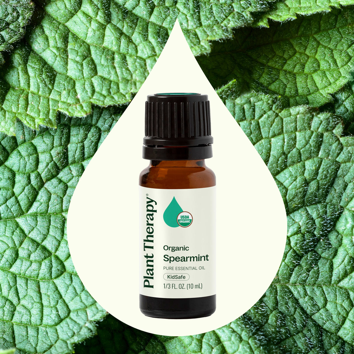 Organic Spearmint Essential Oil from Plant Therapy
