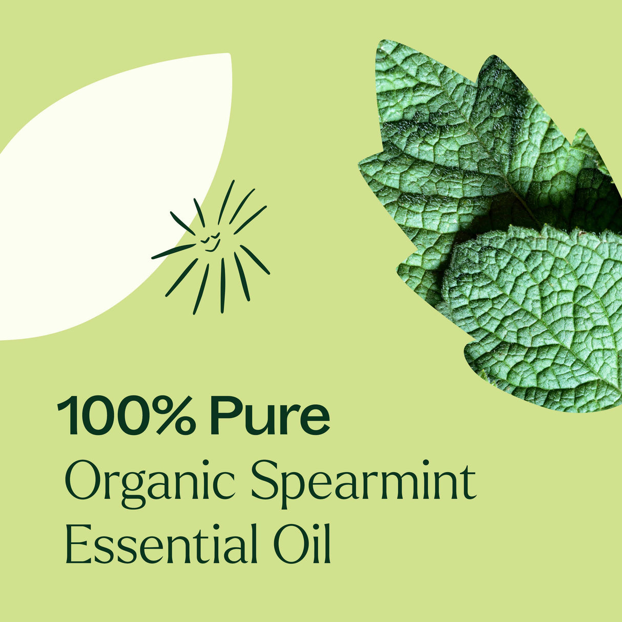 Organic Spearmint Essential Oil from Plant Therapy
