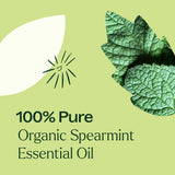 Organic Spearmint Essential Oil from Plant Therapy