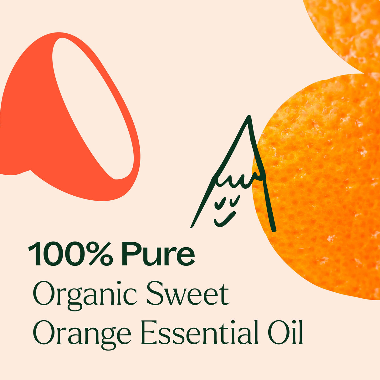 Organic Sweet Orange Essential Oil from Plant Therapy