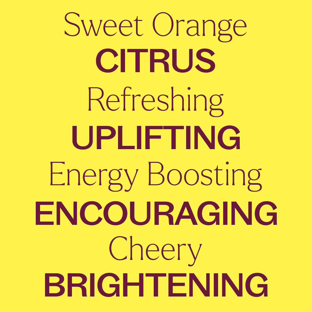 Citrus Season from Plant Therapy