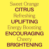 Citrus Season from Plant Therapy