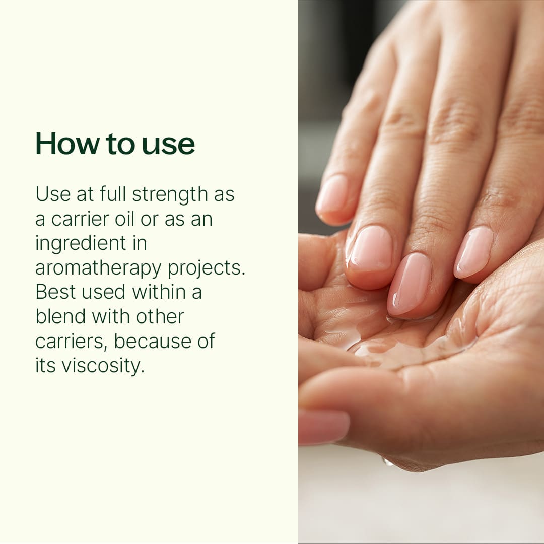 Organic Tamanu Carrier Oil 4 oz from Plant Therapy