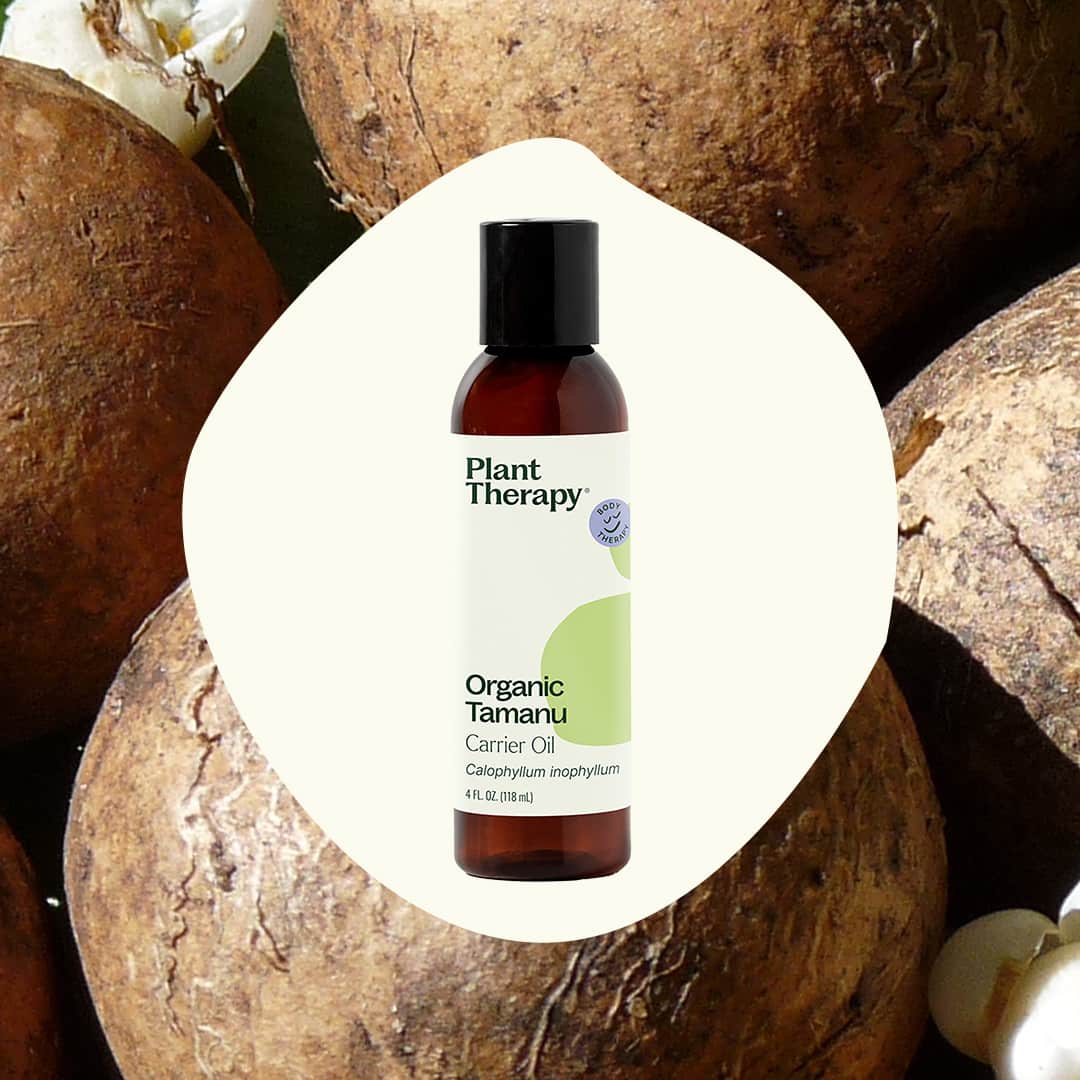 Organic Tamanu Carrier Oil 4 oz from Plant Therapy