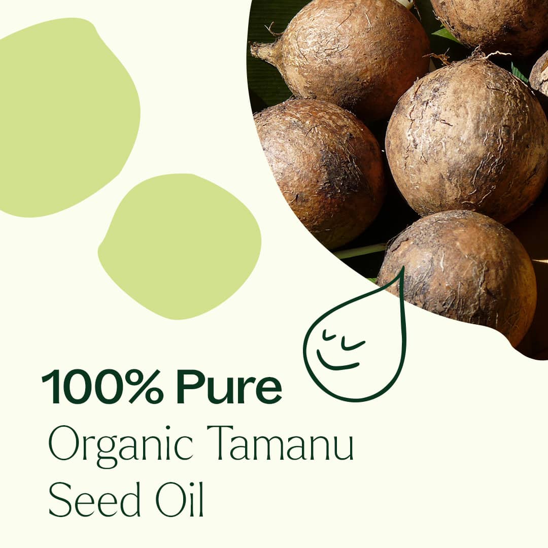 Organic Tamanu Carrier Oil 4 oz from Plant Therapy
