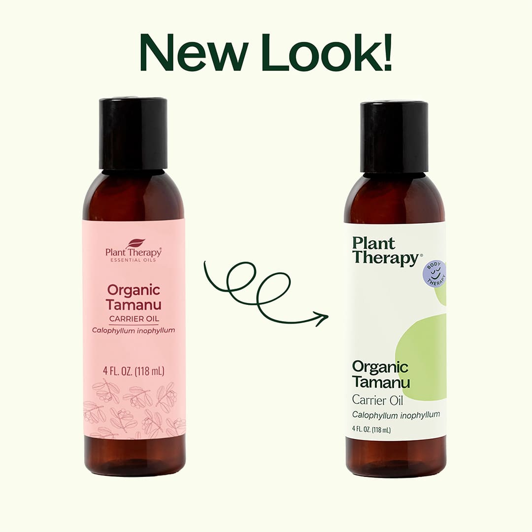 Organic Tamanu Carrier Oil 4 oz from Plant Therapy