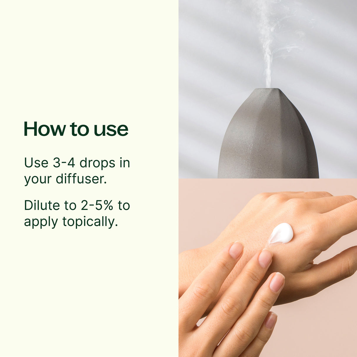 Organic Tea Tree Essential Oil from Plant Therapy from Plant Therapy