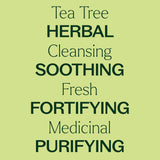 Organic Tea Tree Essential Oil from Plant Therapy from Plant Therapy