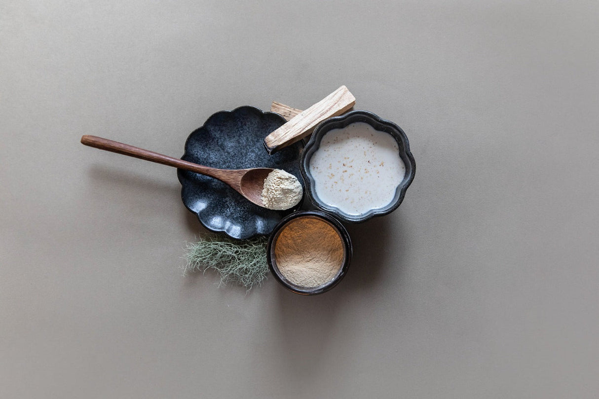 Shatavari from Paavani Ayurveda