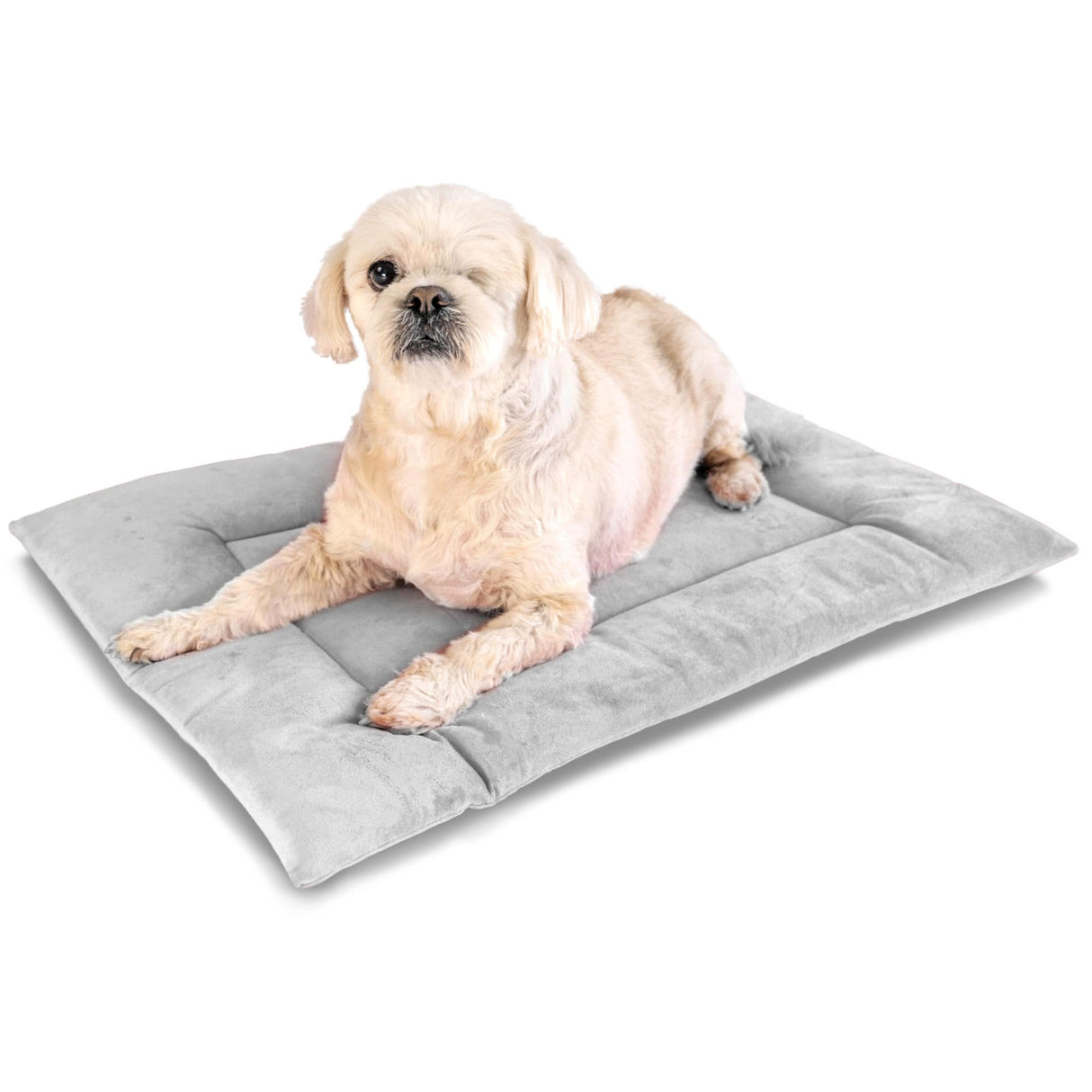 PAWD Crate Pad & Dog bed from KindTail