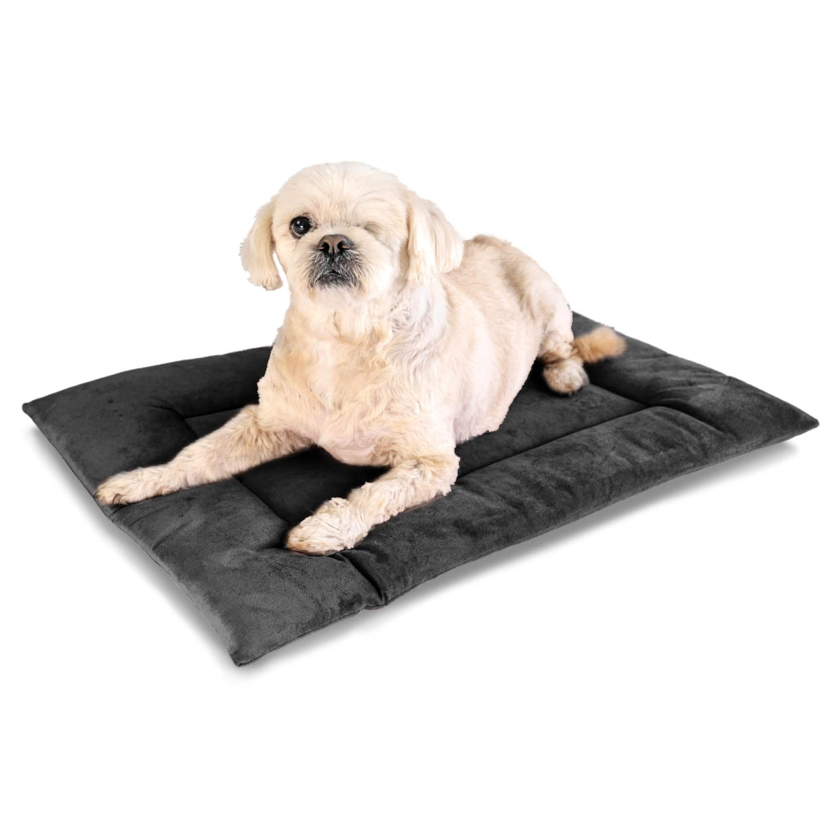 PAWD Crate Pad & Dog bed from KindTail