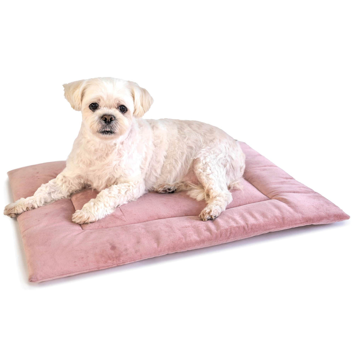 PAWD Crate Pad & Dog bed from KindTail
