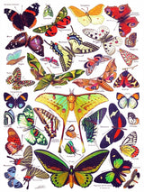 Butterflies ~ Papillons from New York Puzzle Company