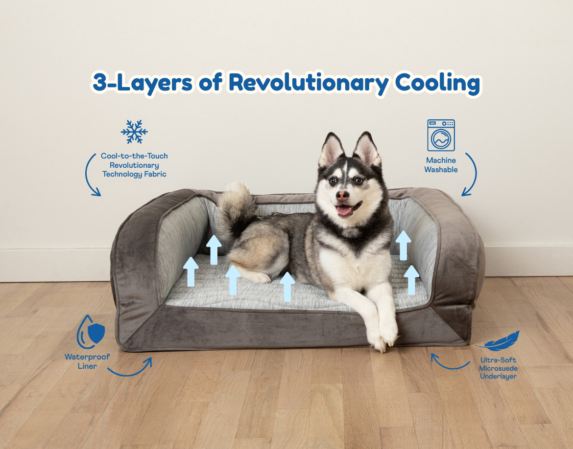 PupChill™ Cooling Bolster Dog Bed from Paw.com