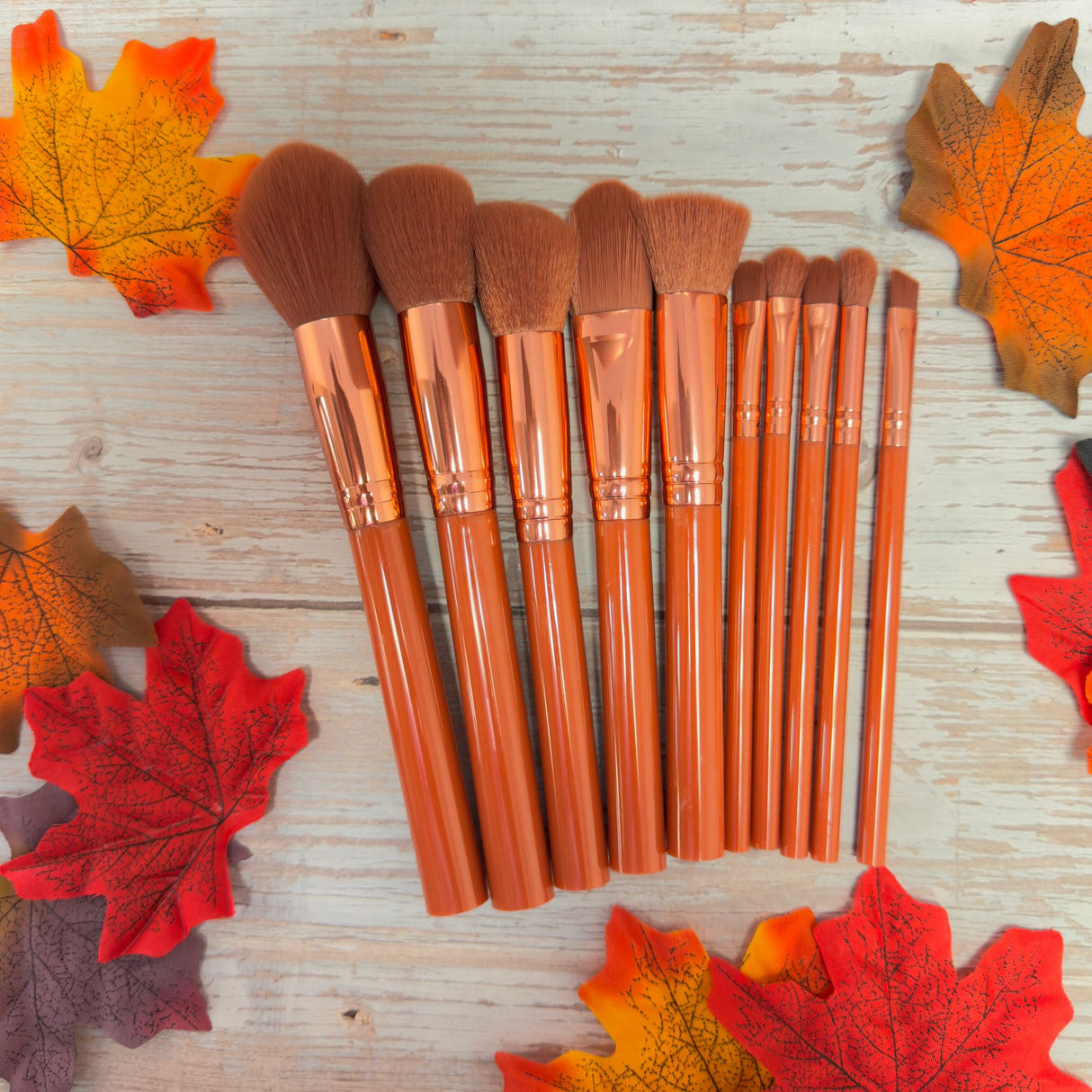 Makeup Brush Set - 10 Piece Makeup Brush Collection from Prolux Cosmetics
