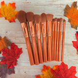 Makeup Brush Set - 10 Piece Makeup Brush Collection from Prolux Cosmetics