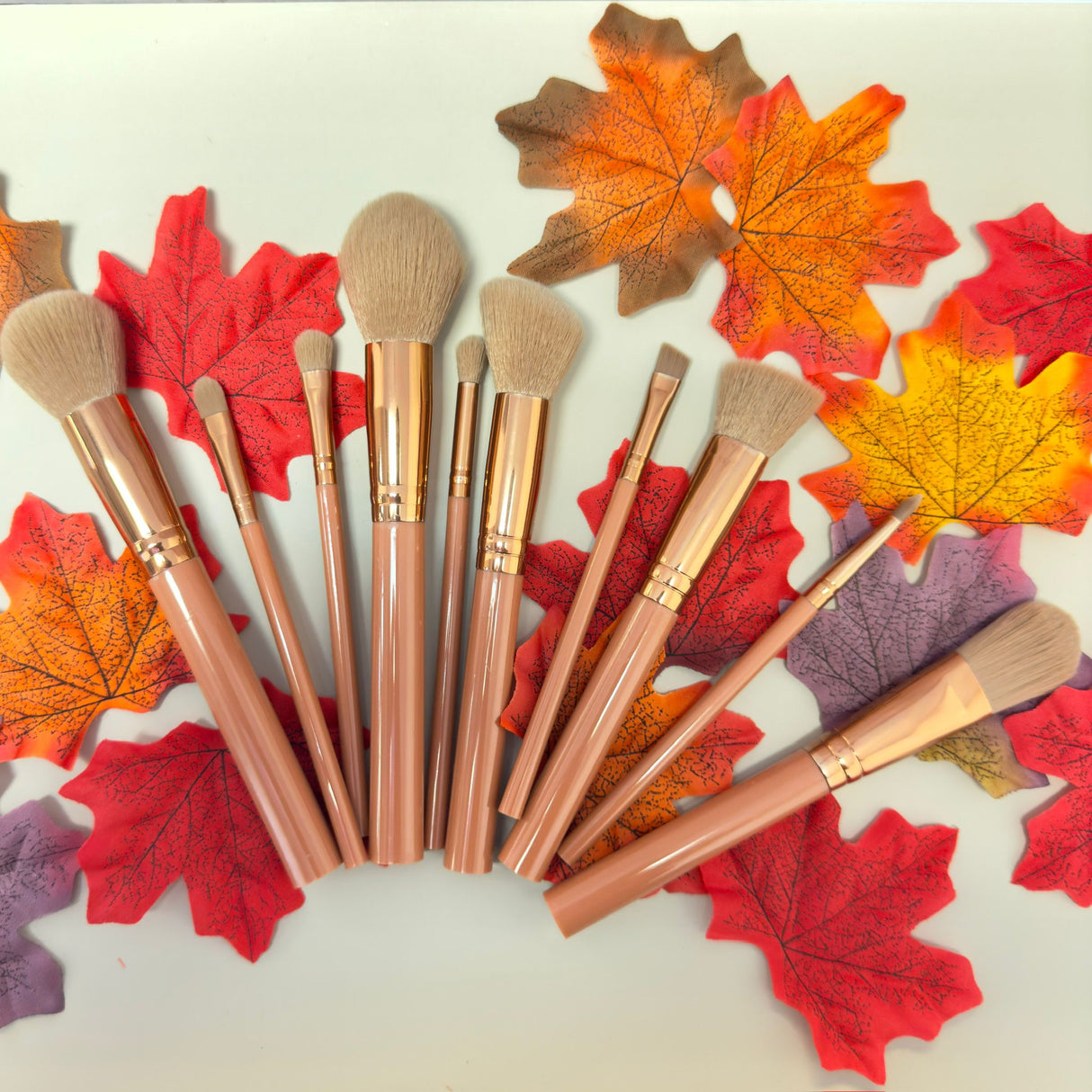 Makeup Brush Set - 10 Piece Makeup Brush Collection from Prolux Cosmetics