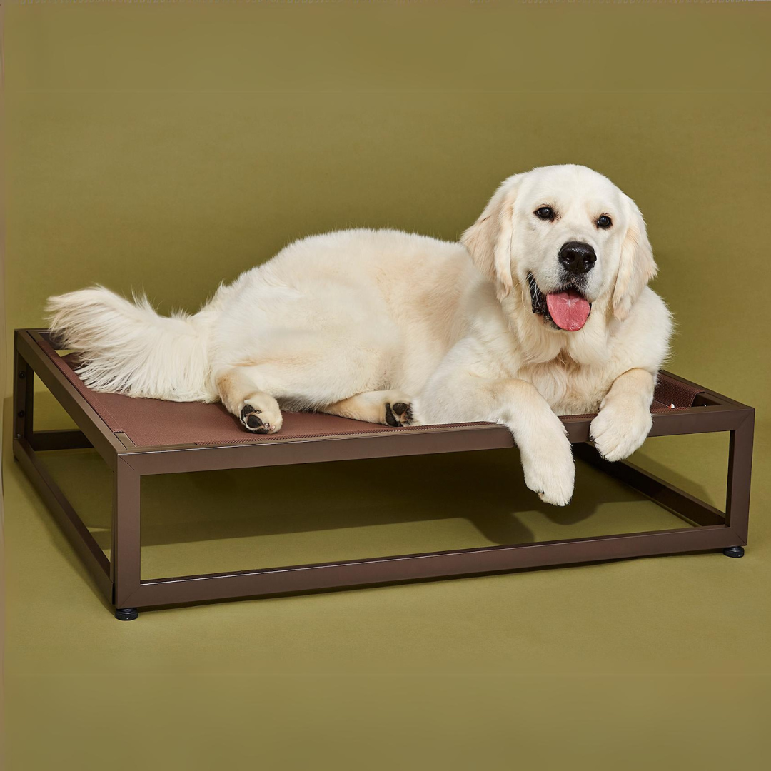 The Up Pup Dog Bed from FÜZI