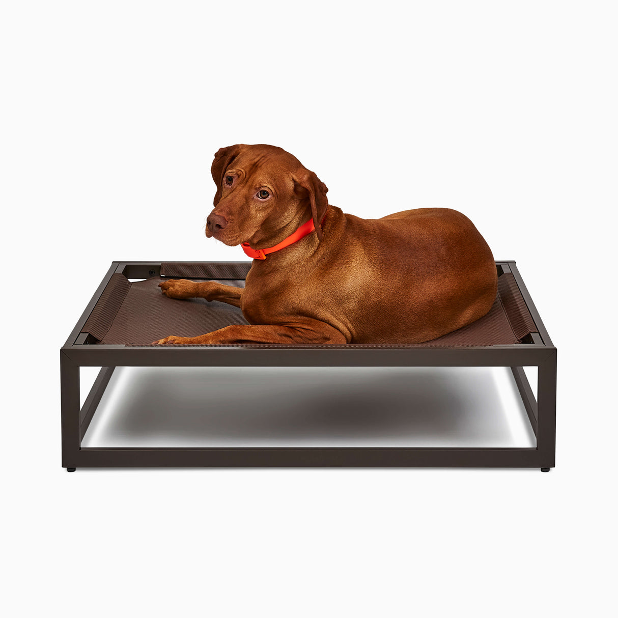 The Up Pup Dog Bed from FÜZI