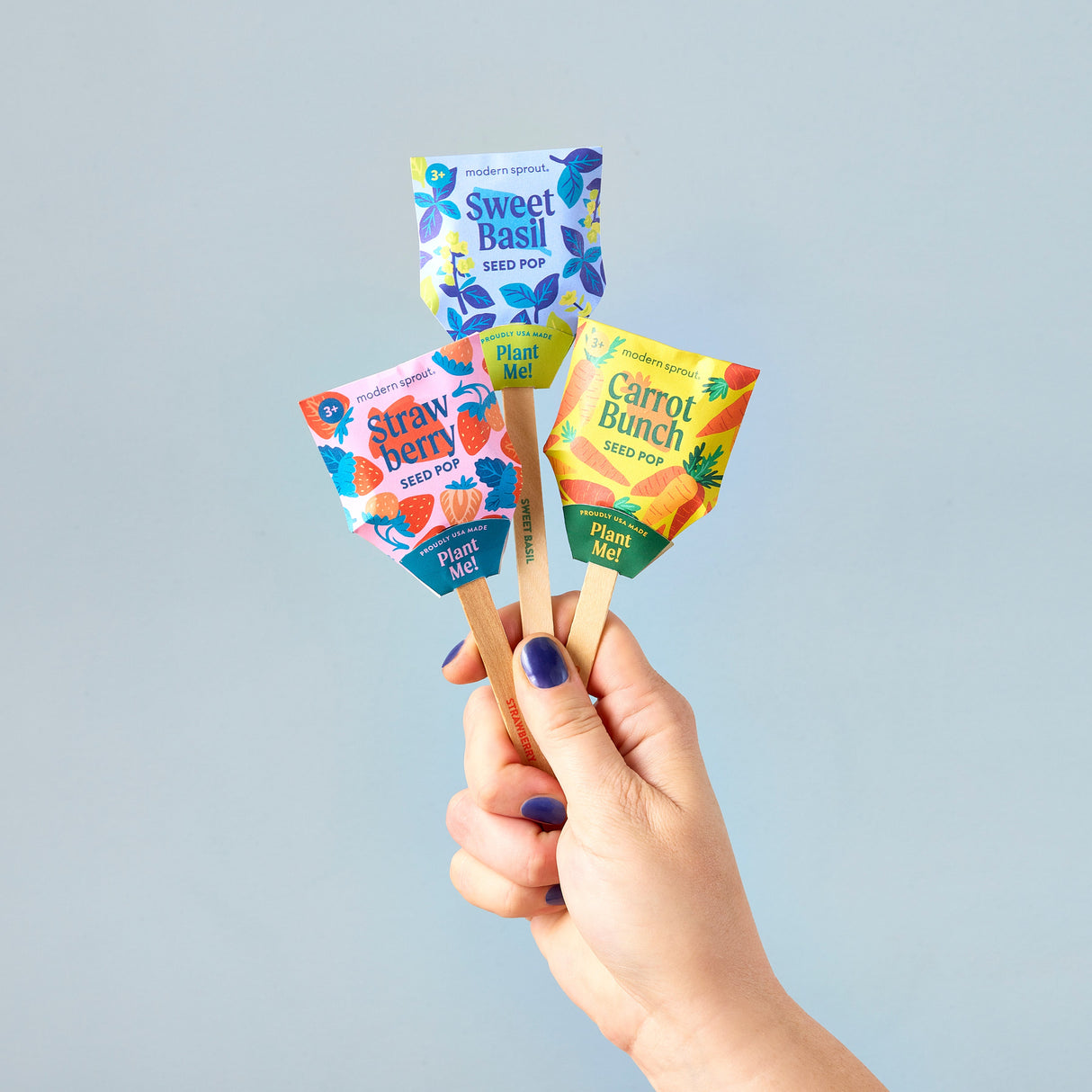 Seed Pops - Garden from Modern Sprout