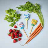 Seed Pops - Garden from Modern Sprout