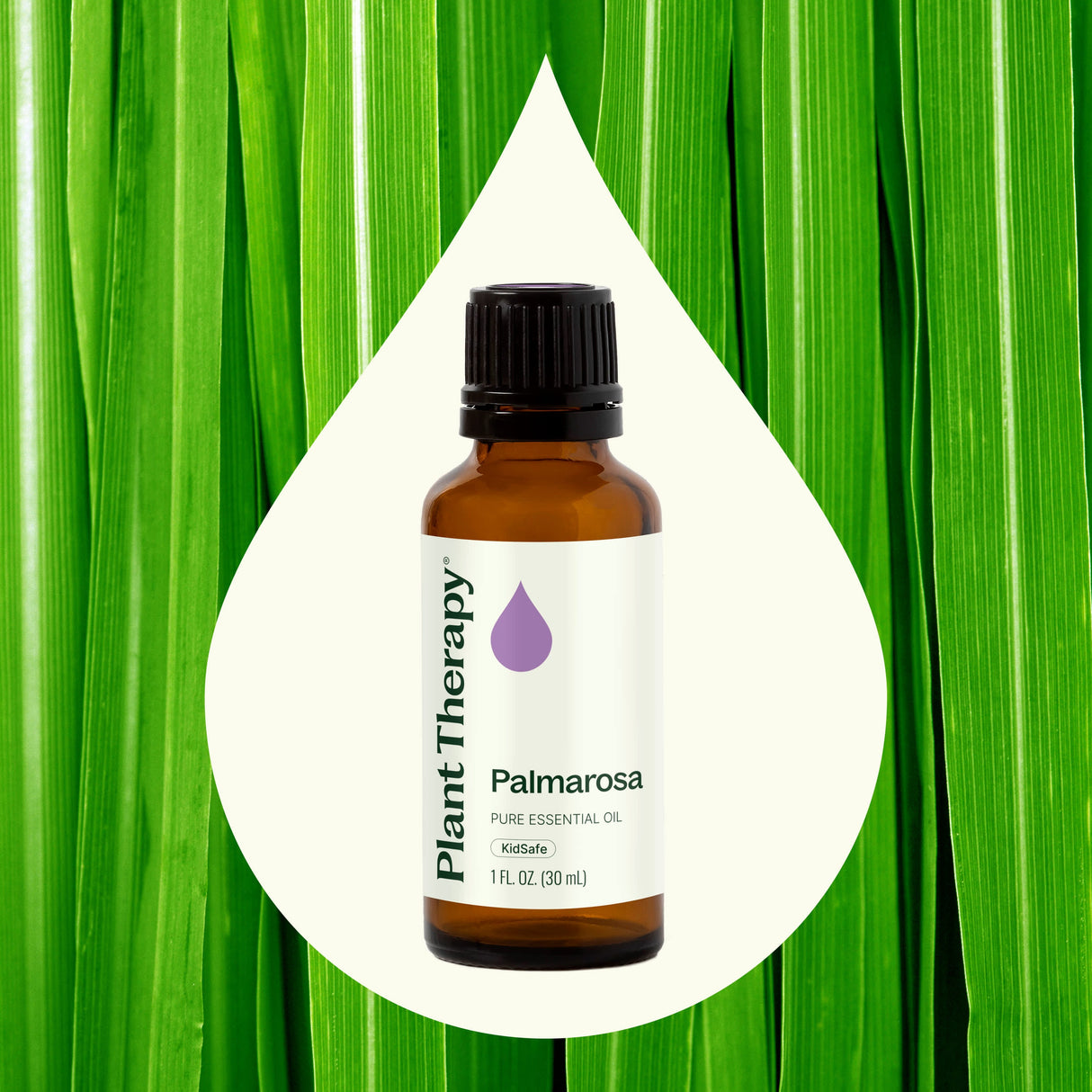 Palmarosa Essential Oil from Plant Therapy
