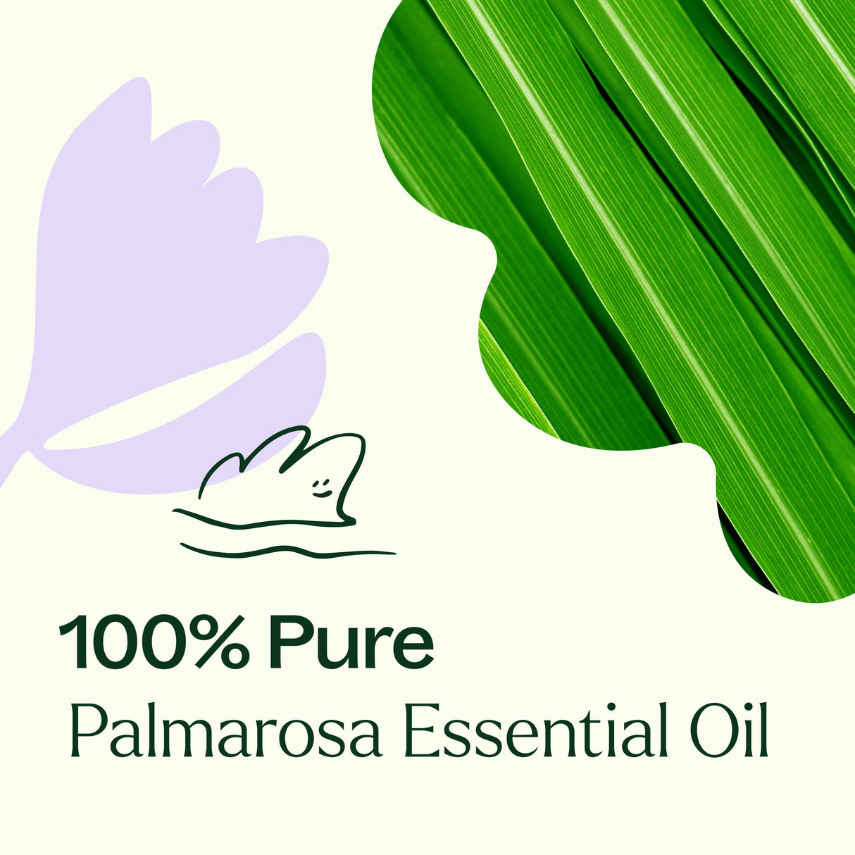 Palmarosa Essential Oil from Plant Therapy