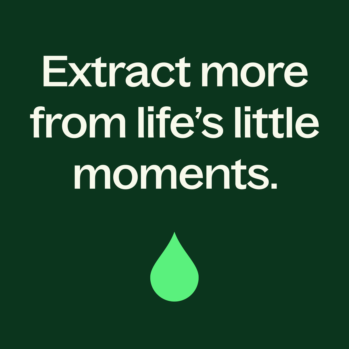Palmarosa Essential Oil from Plant Therapy