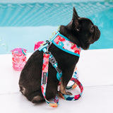 Frenchie Duo Reversible Harness - Paradise from Frenchie Bulldog