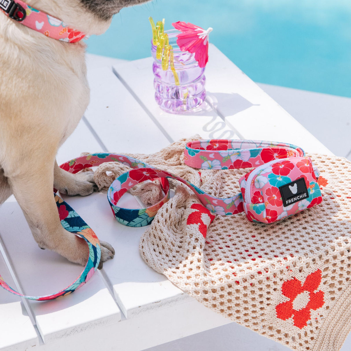 Frenchie Comfort Leash - Paradise from Frenchie Bulldog