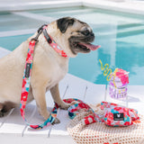 Frenchie Comfort Leash - Paradise from Frenchie Bulldog