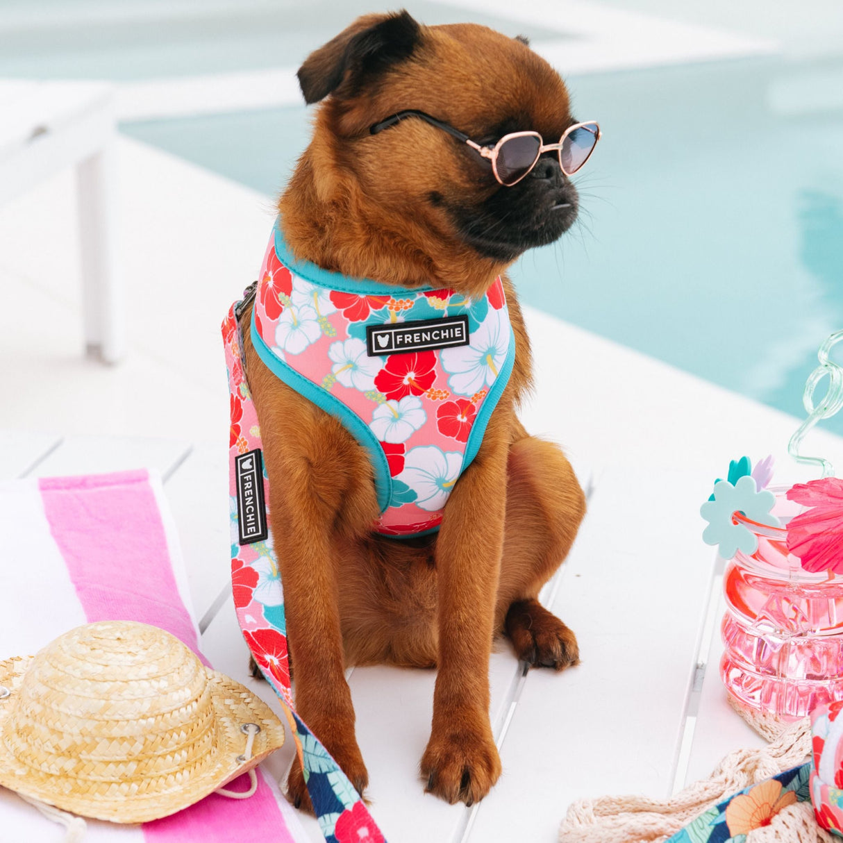 Frenchie Duo Reversible Harness - Paradise from Frenchie Bulldog