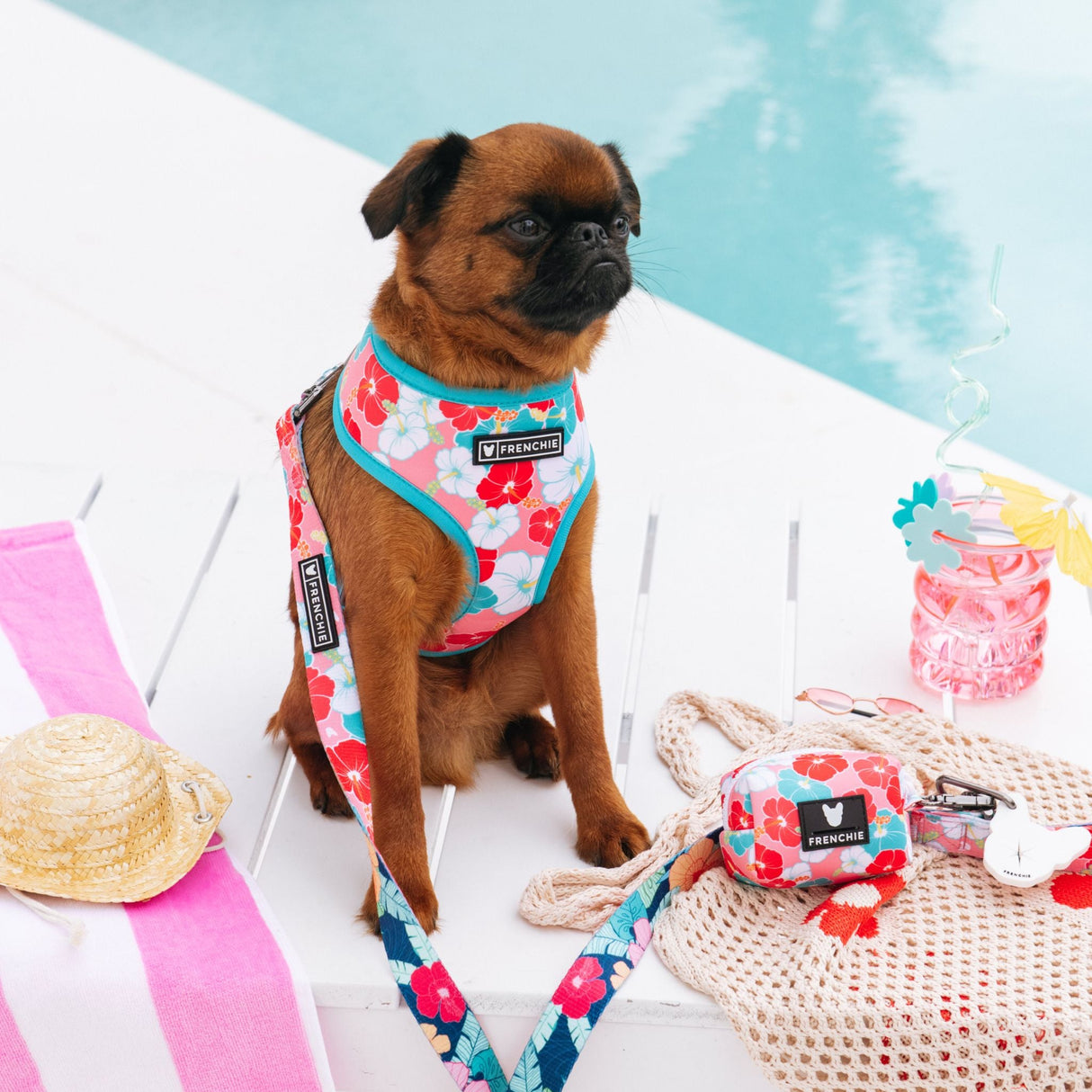 Frenchie Duo Reversible Harness - Paradise from Frenchie Bulldog