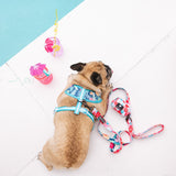 Frenchie Duo Reversible Harness - Paradise from Frenchie Bulldog