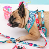 Frenchie Comfort Leash - Paradise from Frenchie Bulldog