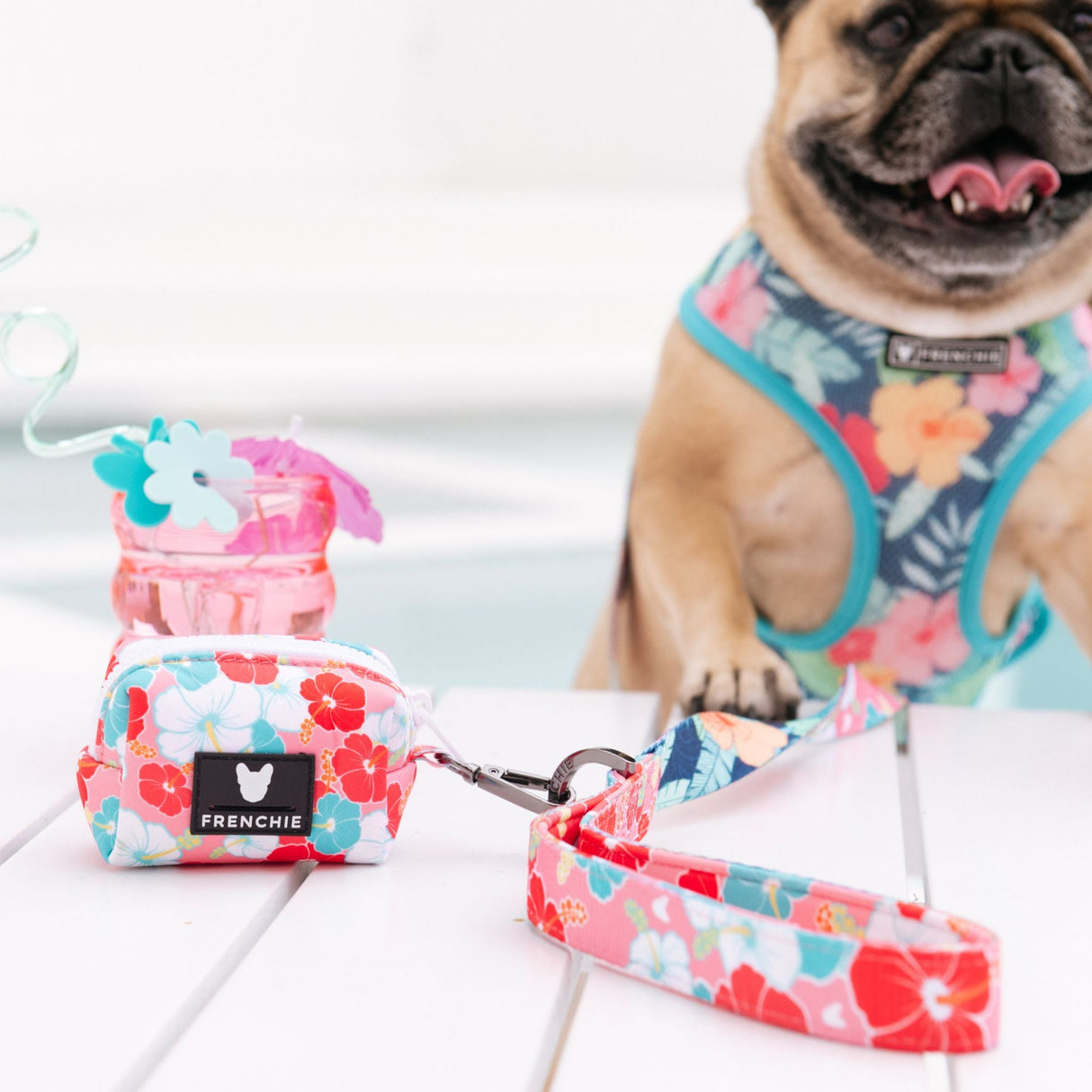 Frenchie Duo Reversible Harness - Paradise from Frenchie Bulldog