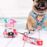 Frenchie Duo Reversible Harness - Paradise from Frenchie Bulldog