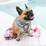 Frenchie Duo Reversible Harness - Paradise from Frenchie Bulldog