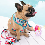 Frenchie Duo Reversible Harness - Paradise from Frenchie Bulldog