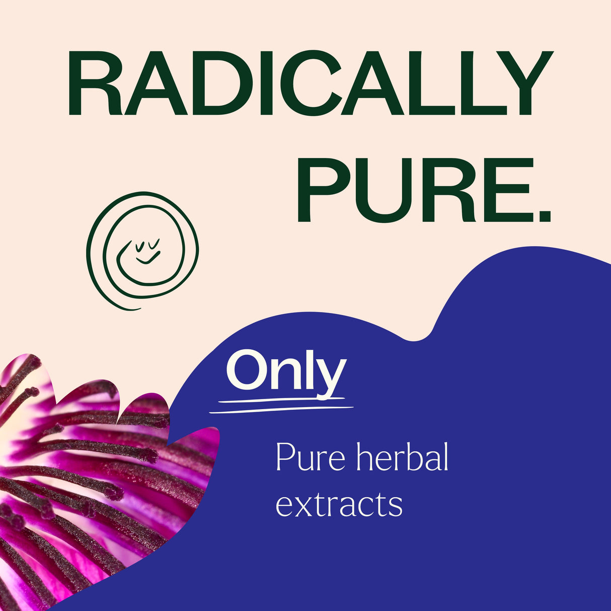 Passionflower Herbal Supplement - 120 Capsules from Plant Therapy