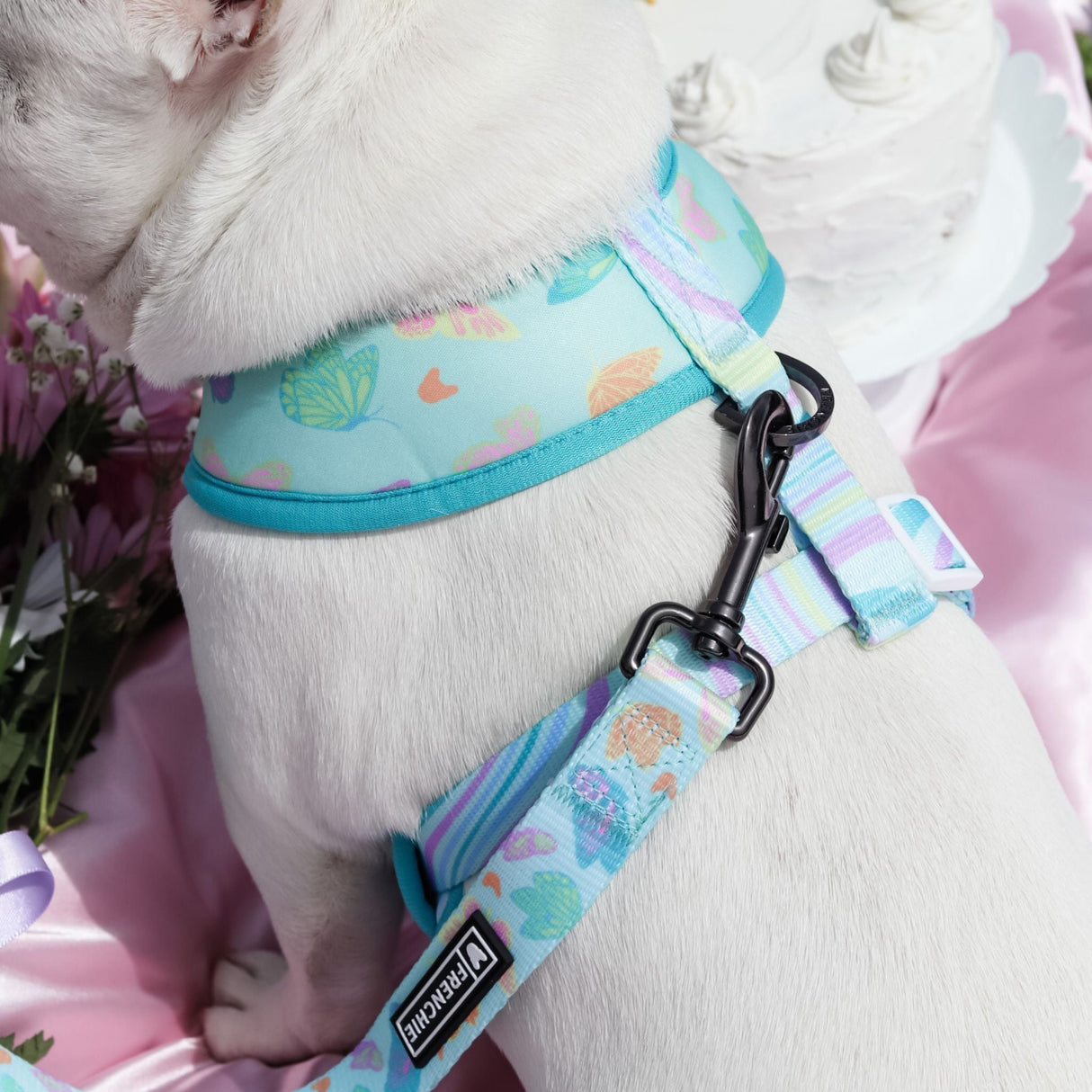 Frenchie Duo Reversible Harness - Pastel Butterfly from Frenchie Bulldog