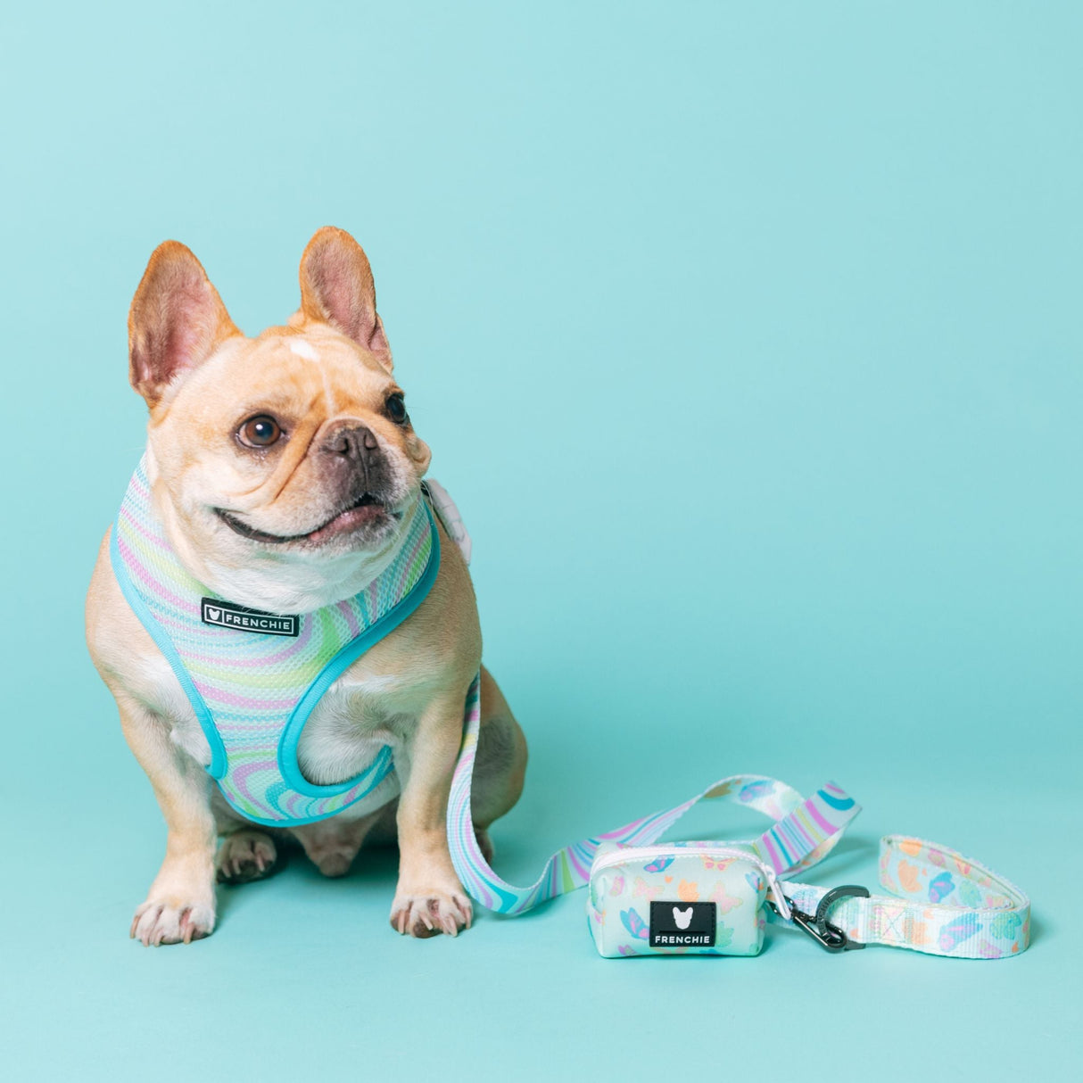 Frenchie Duo Reversible Harness - Pastel Butterfly from Frenchie Bulldog